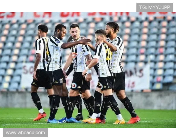 勒阿弗尔俱乐部发布新赛季阵容调整计划力求重返法甲顶级竞争行列