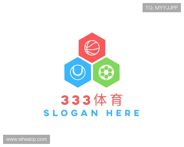 发现333体育官网